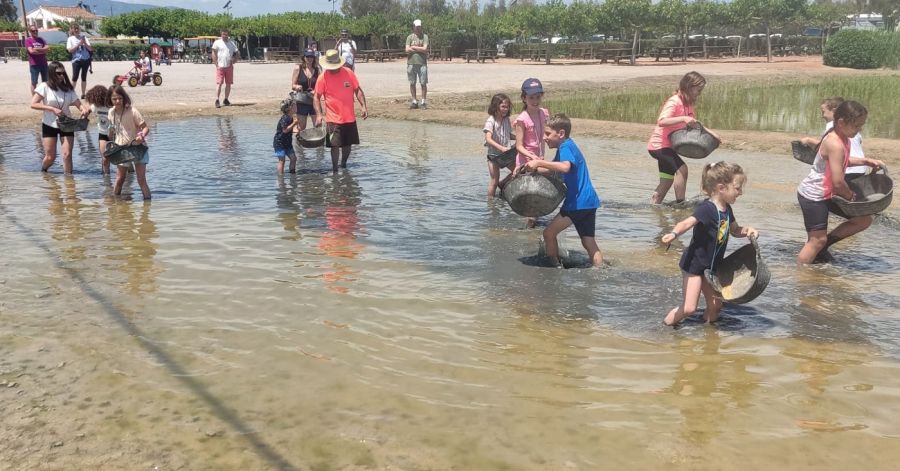 Ganadores Programa Alimentación Saludable Montsià en los arrozales