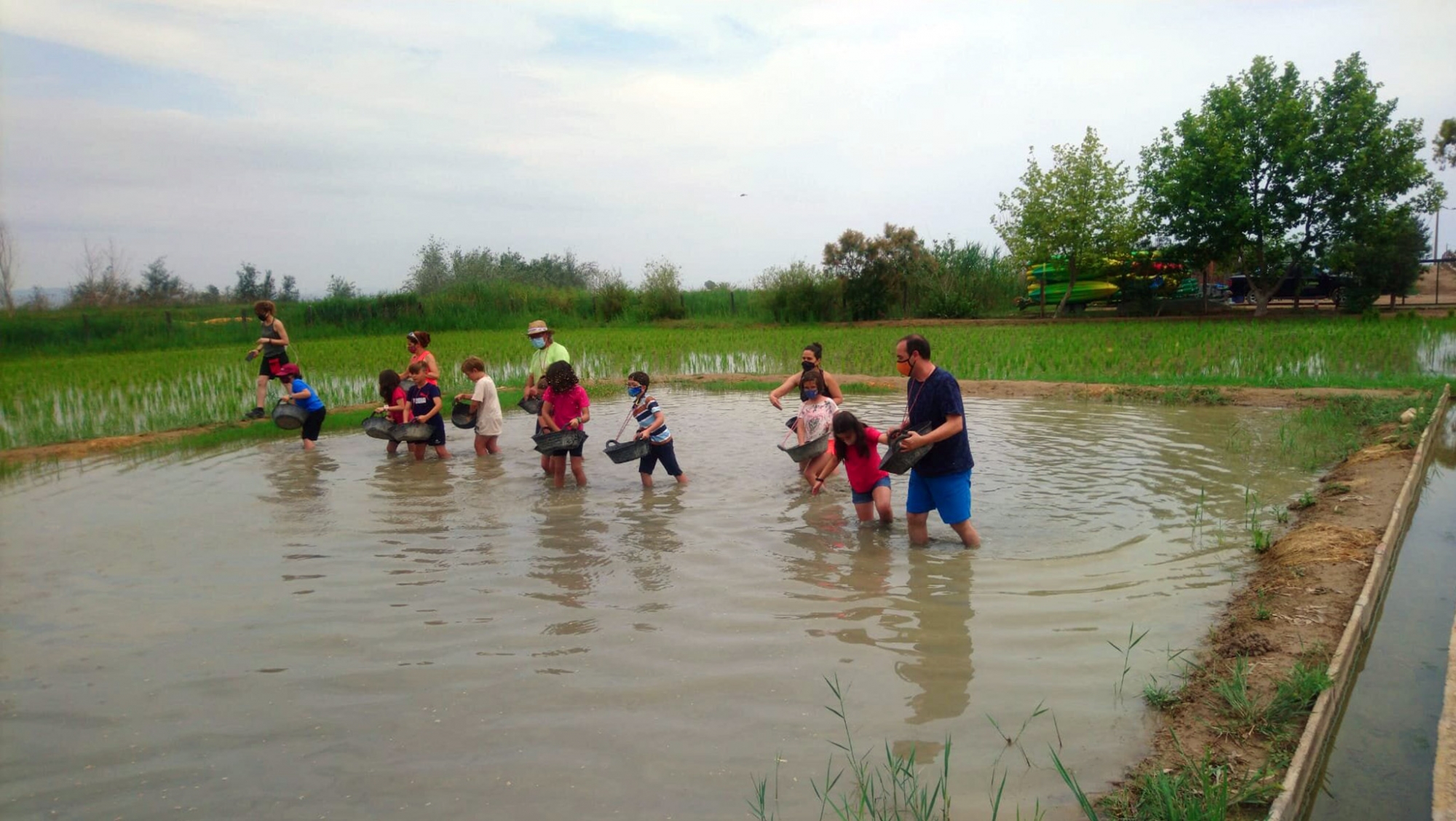 Delta Programa Alimentación Saludable