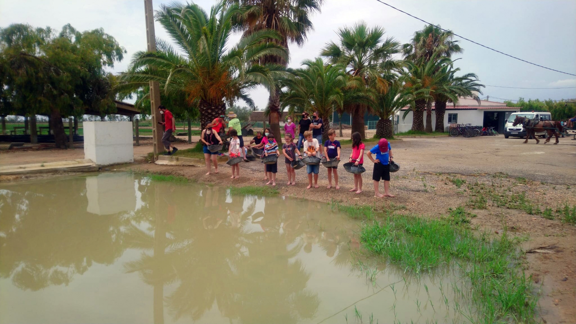 Niños Programa Alimentación Saludable