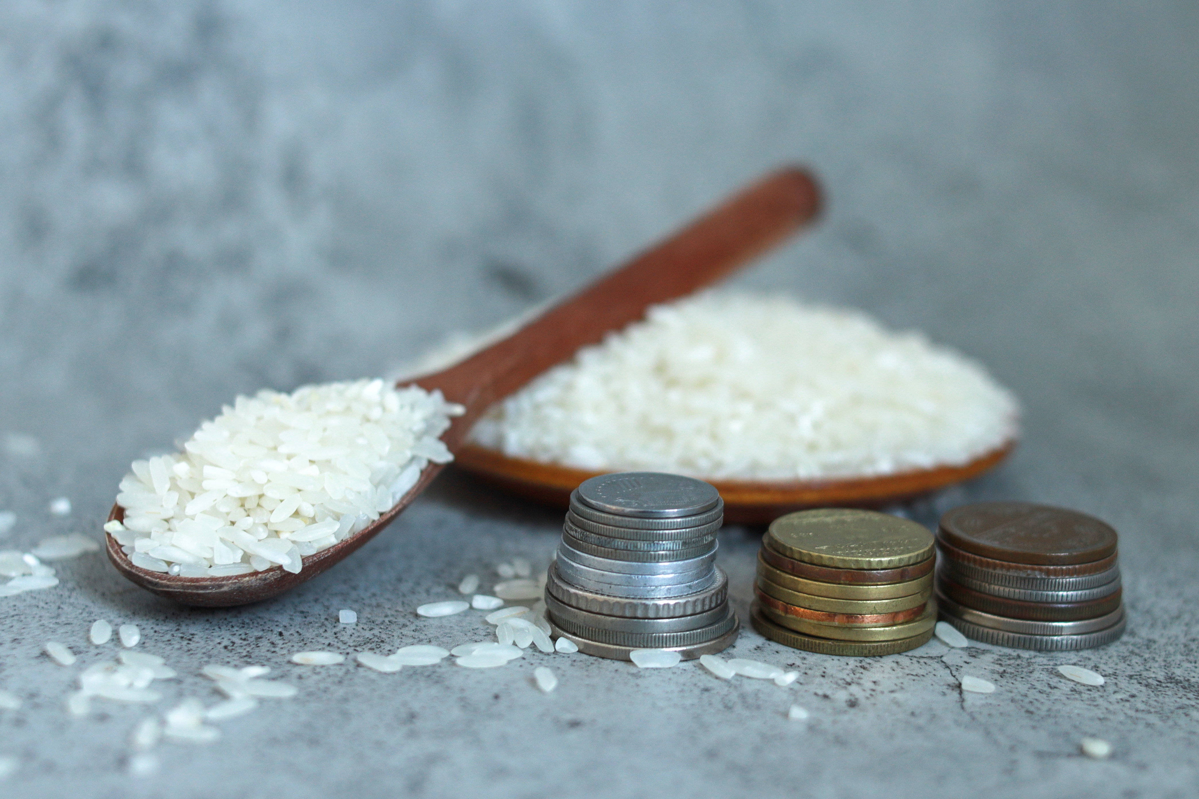 El arroz como moneda de cambio en Cataluña