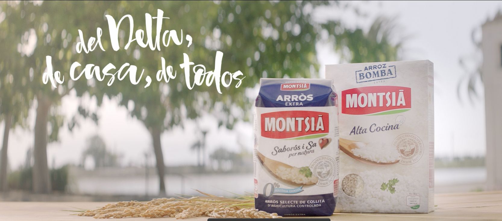 Arroz Montsià, del Delta a tu televisor