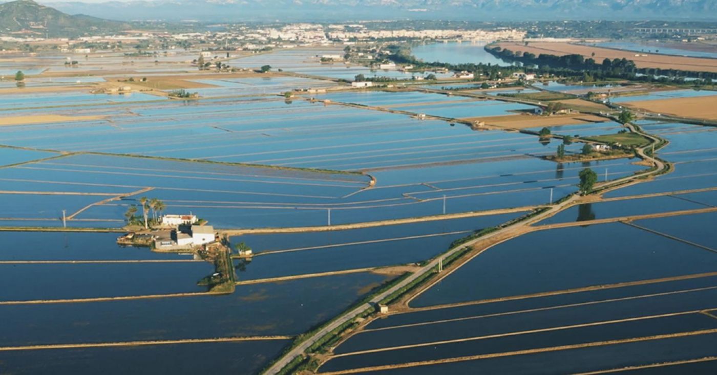 Delta de l'Ebre, un paradís d'arròs i gastronomia