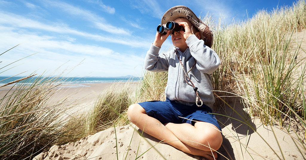 El birdwatching: la tendencia al alza en el Delta