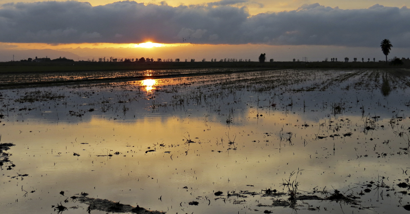 La tardor, una època màgica per visitar el Delta de l’Ebre