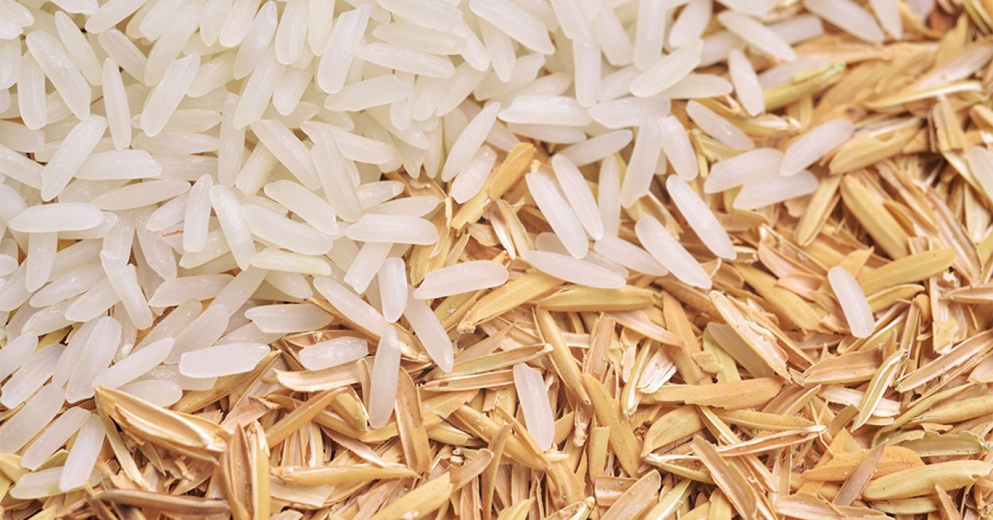 Montsià Rice uses its rice husks to replace plastic