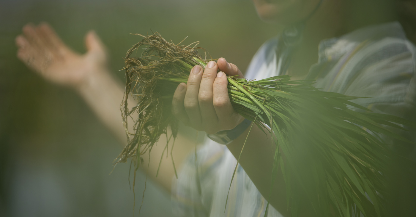 ¿Qué es ser un arroz sostenible?