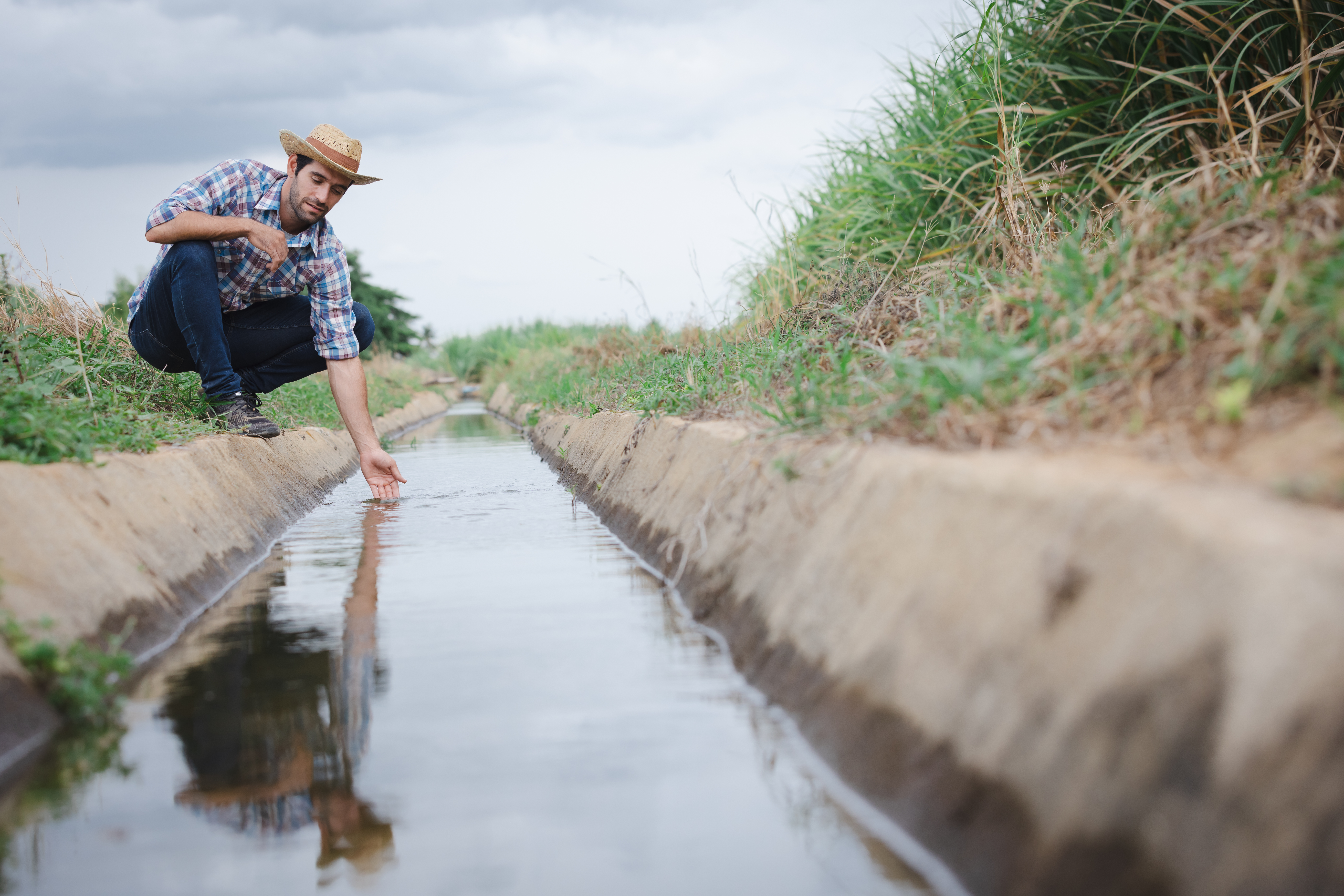 Semana Mundial del Agua: el valor del agua en el Delta del Ebro