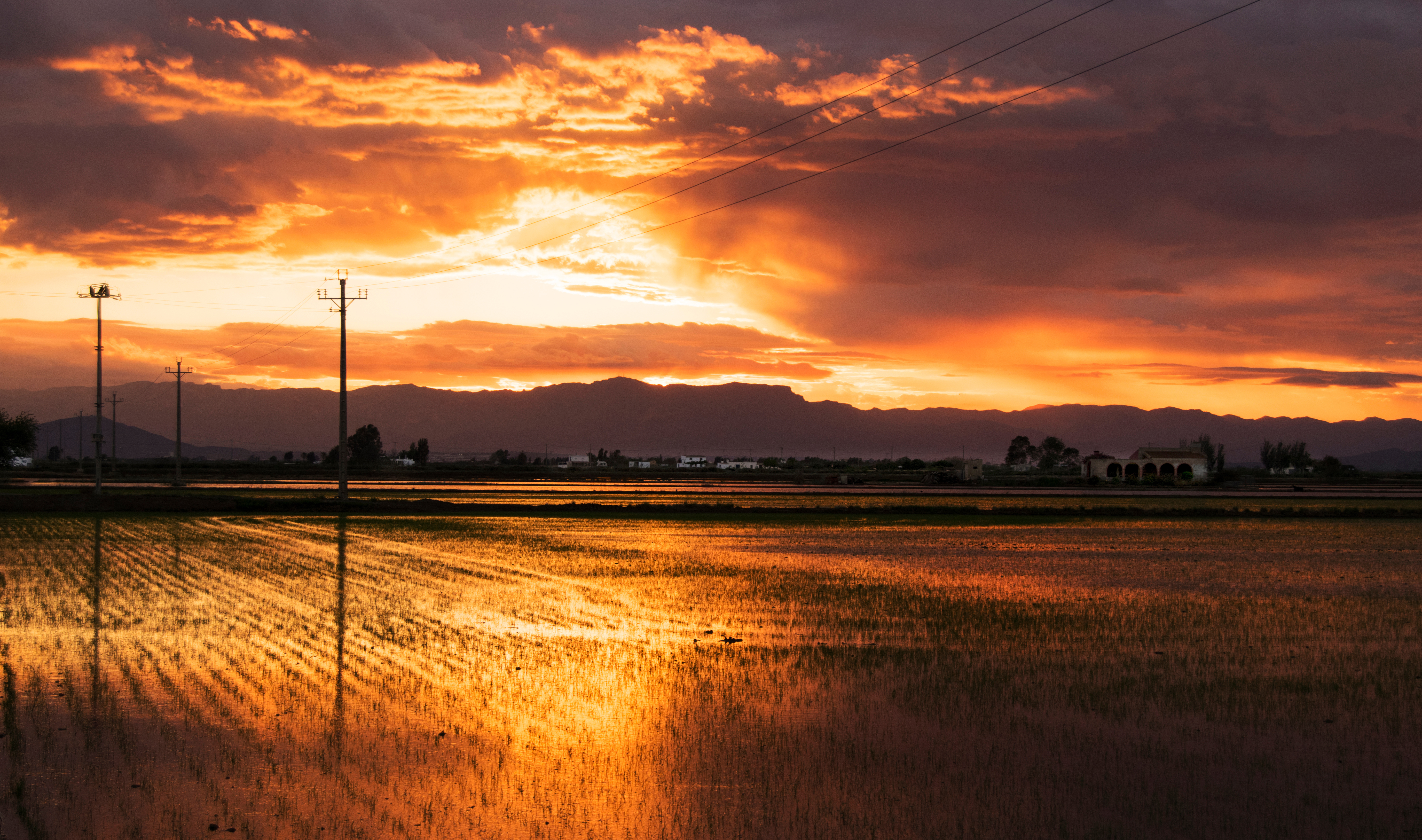 The island of Buda, a private paradise in the Ebro delta