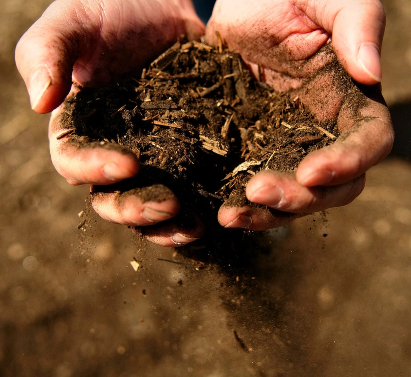 Arroz Montsià Extra