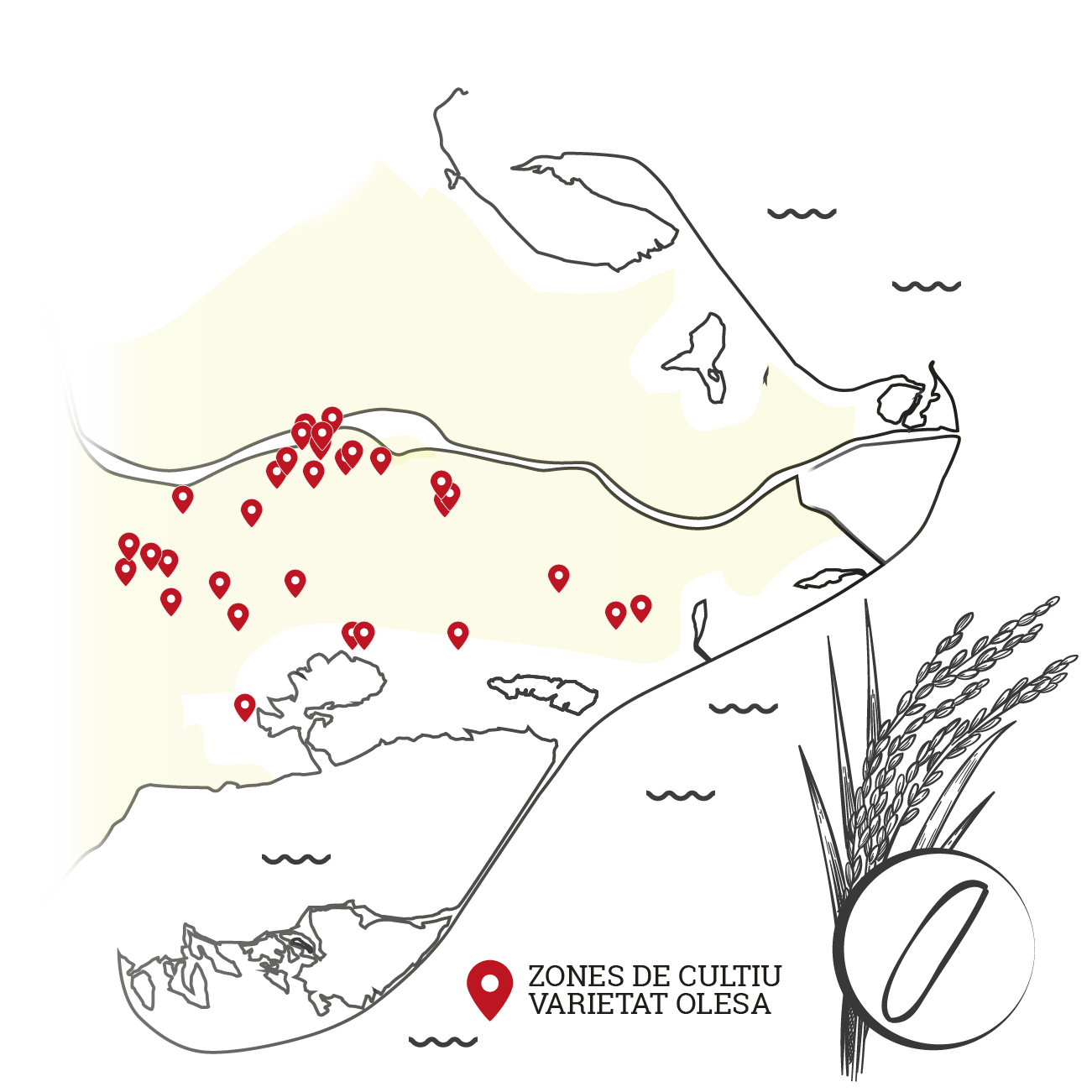 mapa arroces monovarietales